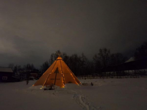 Lavvo på Angell Gjestegård Narvik